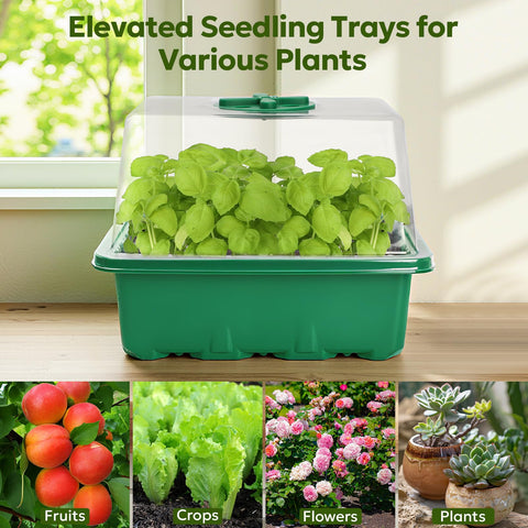 MIXC Seed Starter Kit indoor gardening setup supports year-round seed starting.