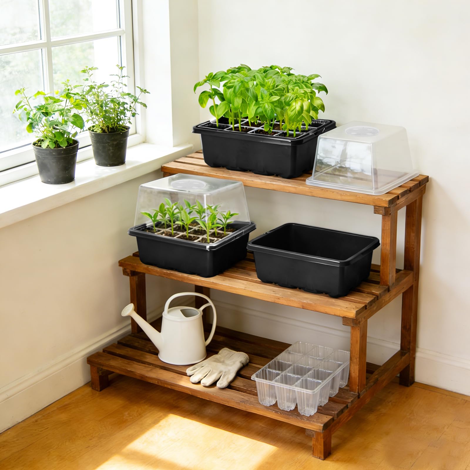 MIXC seed starter setup suits indoor and outdoor gardens.