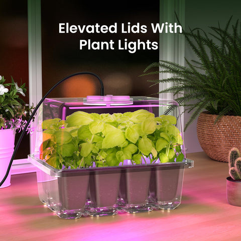 MIXC Seed Starter Kit side grip design eases transplanting.