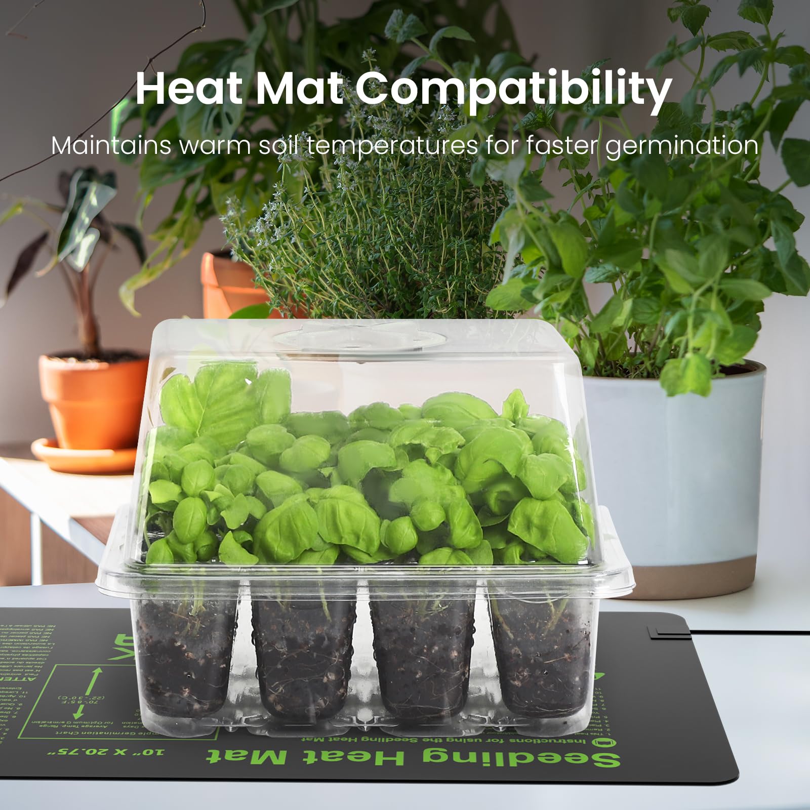 MIXC Seed Starter Kit six-pack setup ready for many plants.