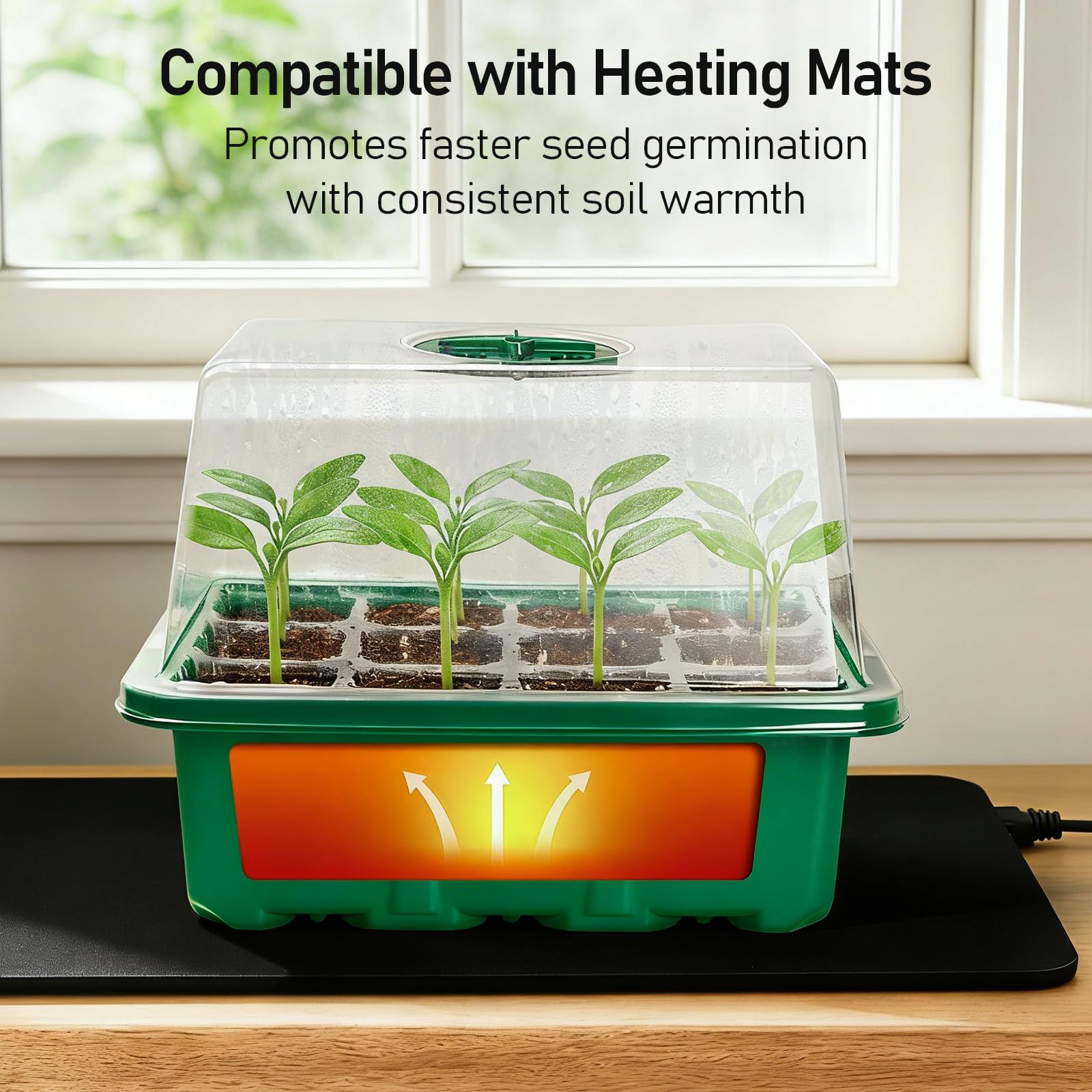 MIXC 10-pack seed starter kit ready for multiple seed varieties.