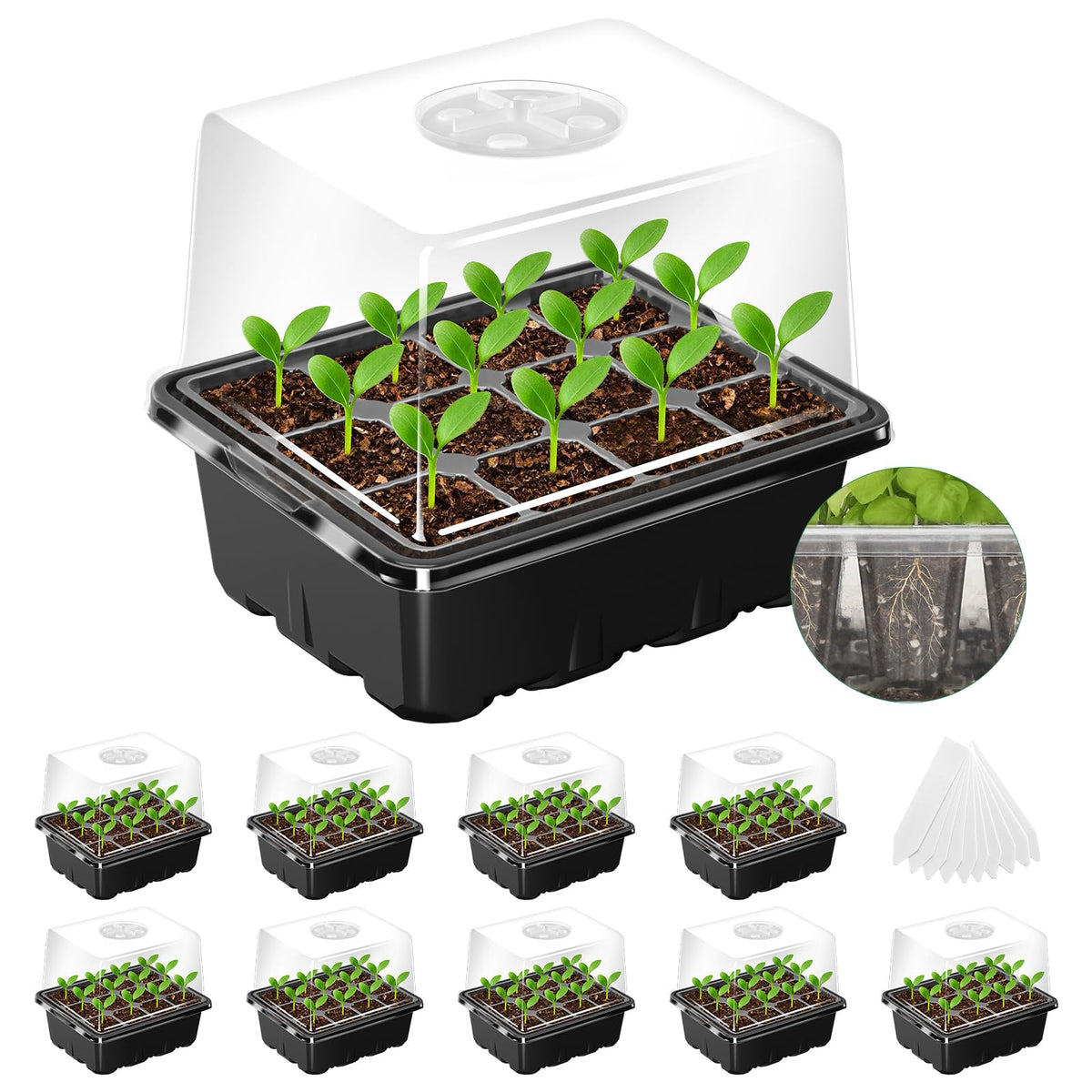 MIXC seed starter tray 120-cells with elevated dome promotes strong seedlings.