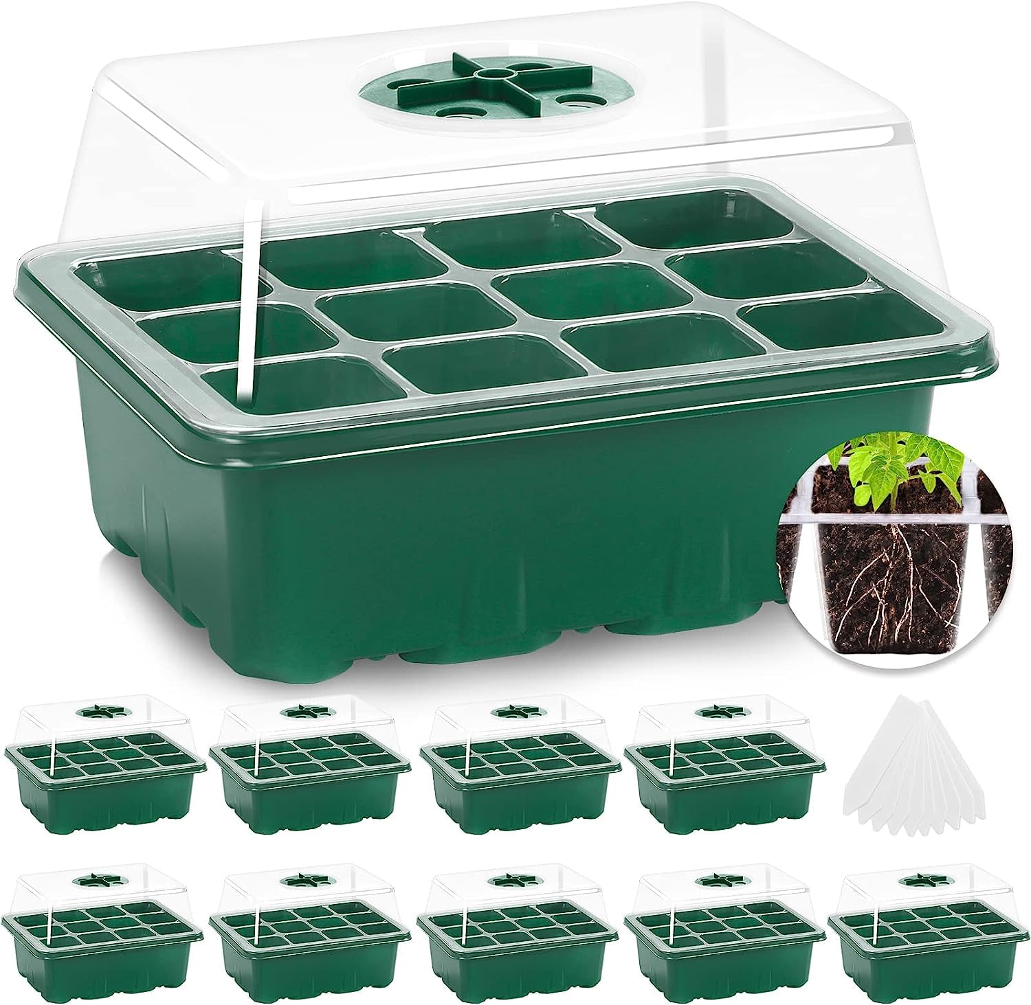 MIXC seed starter tray with 120 cells for efficient germination and easy transplanting.