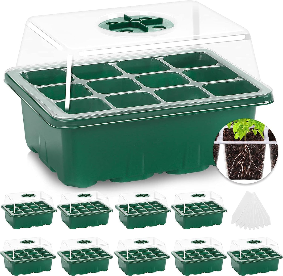 MIXC seed starter tray with 120 cells for efficient germination and easy transplanting.