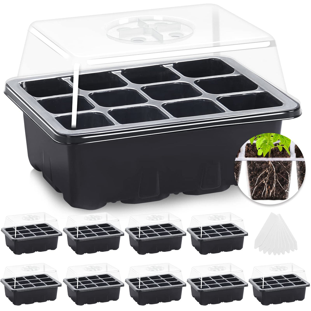MIXC seed starter tray with 120 cells for organized germination and easy transplanting