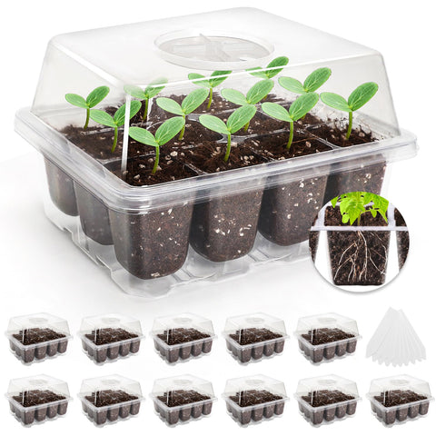 MIXC seed starter tray with 120 cells for organized germination.