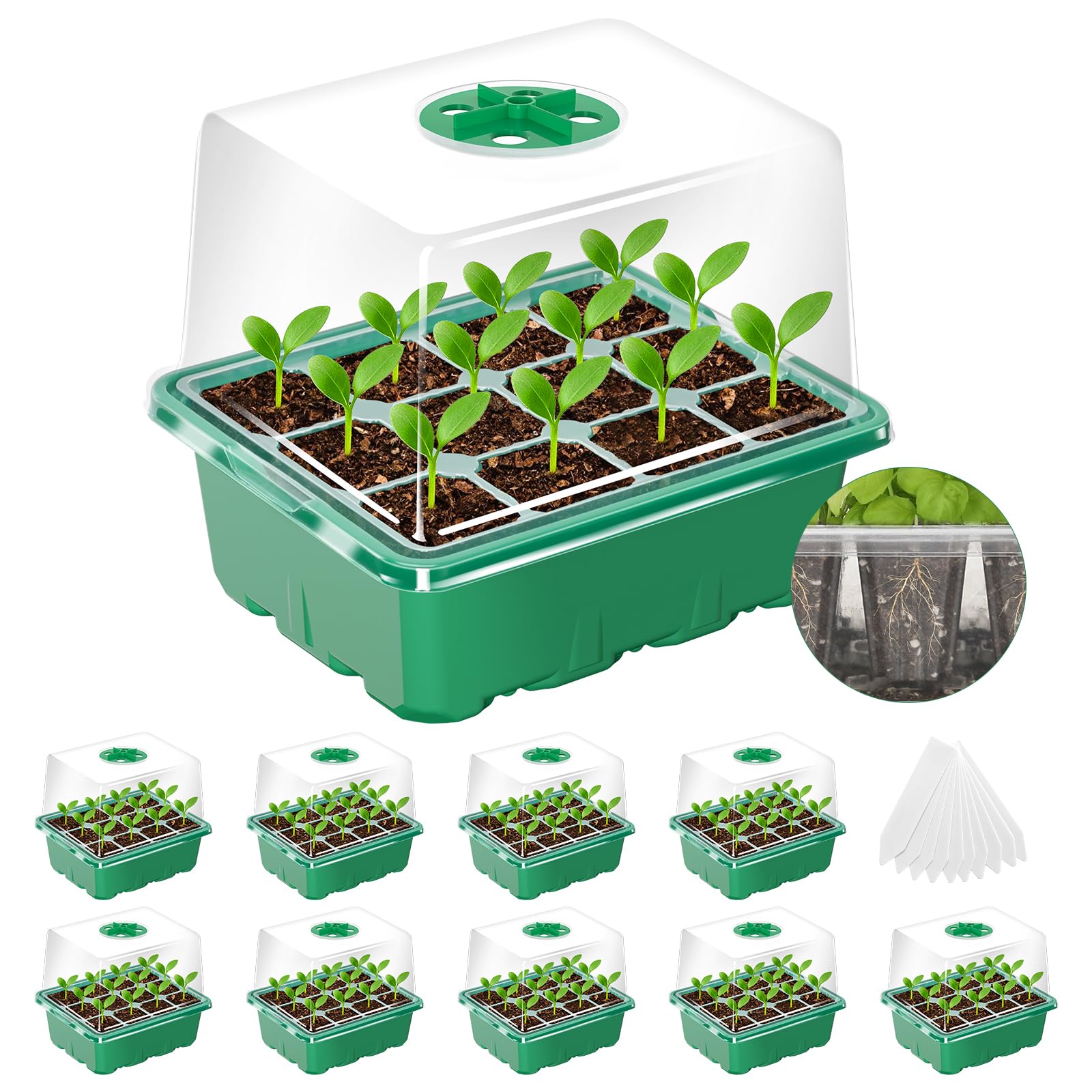 MIXC seed starter tray with elevated dome for stronger seedling germination.