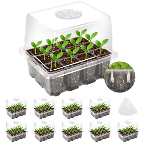 MIXC seed starter tray with elevated dome supports strong seedling growth