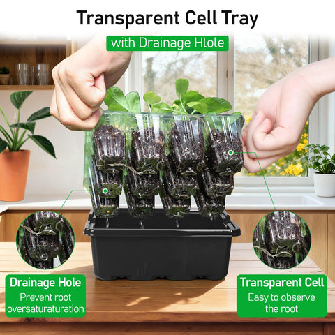 MIXC seed starter tray heat-mat compatible for warm, consistent sprouts.