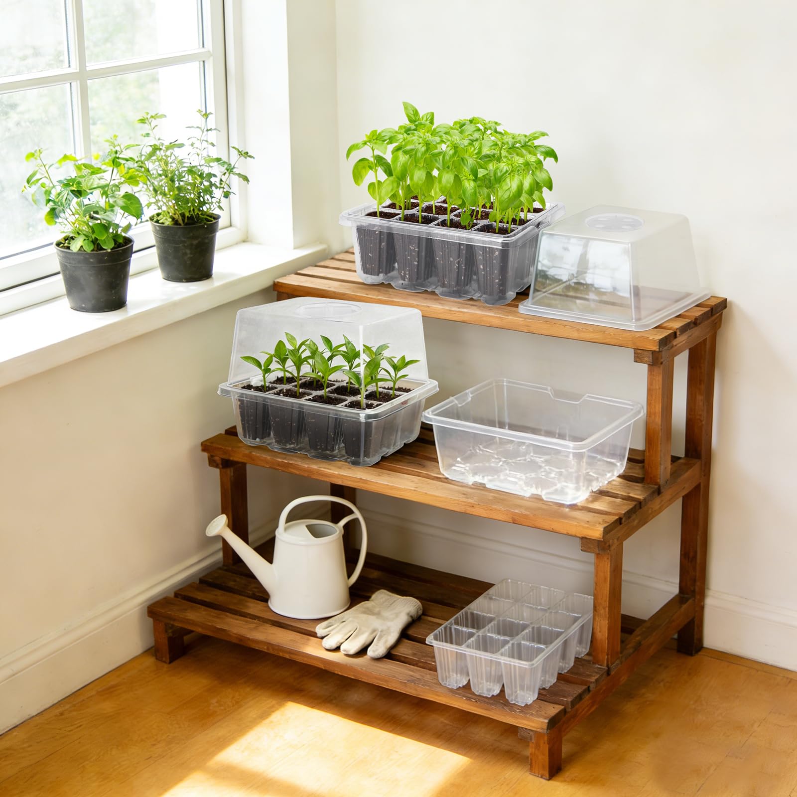 MIXC seed starter setup ideal for compact indoor garden spaces