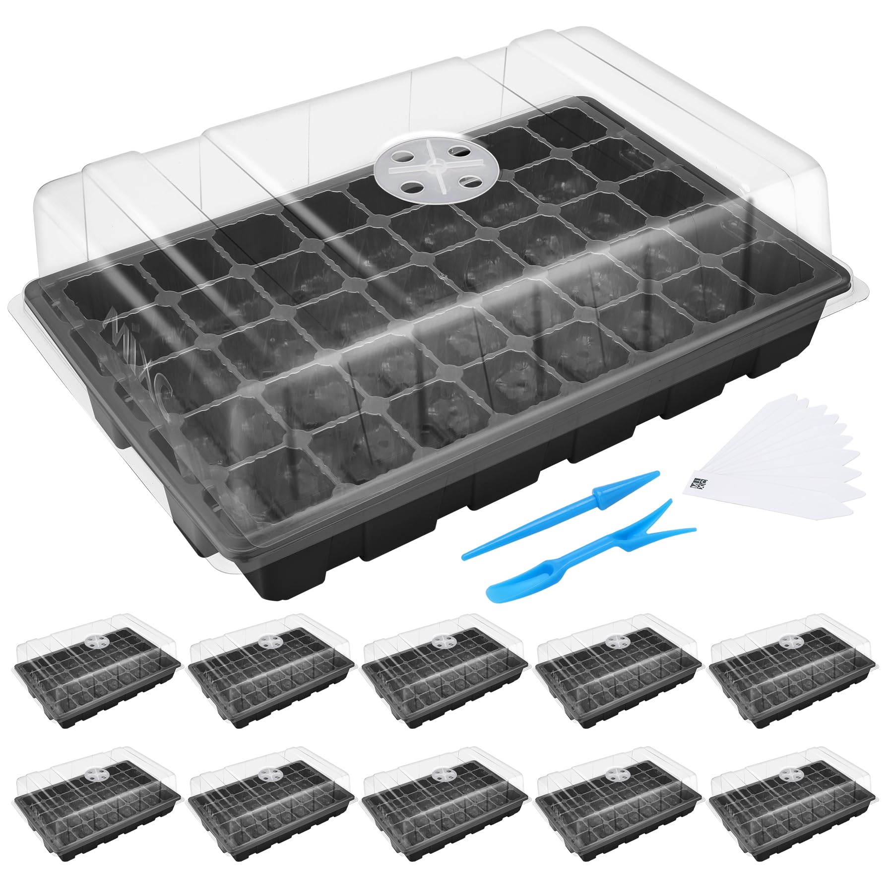 Mixc seedling trays with 40 cells offer clear seedling visibility for easy monitoring.