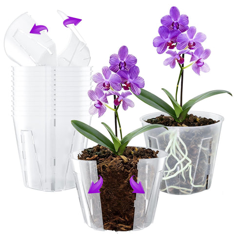 MIXC side-open orchid pot 5-inch clear shows easy transplant with minimal root disturbance.
