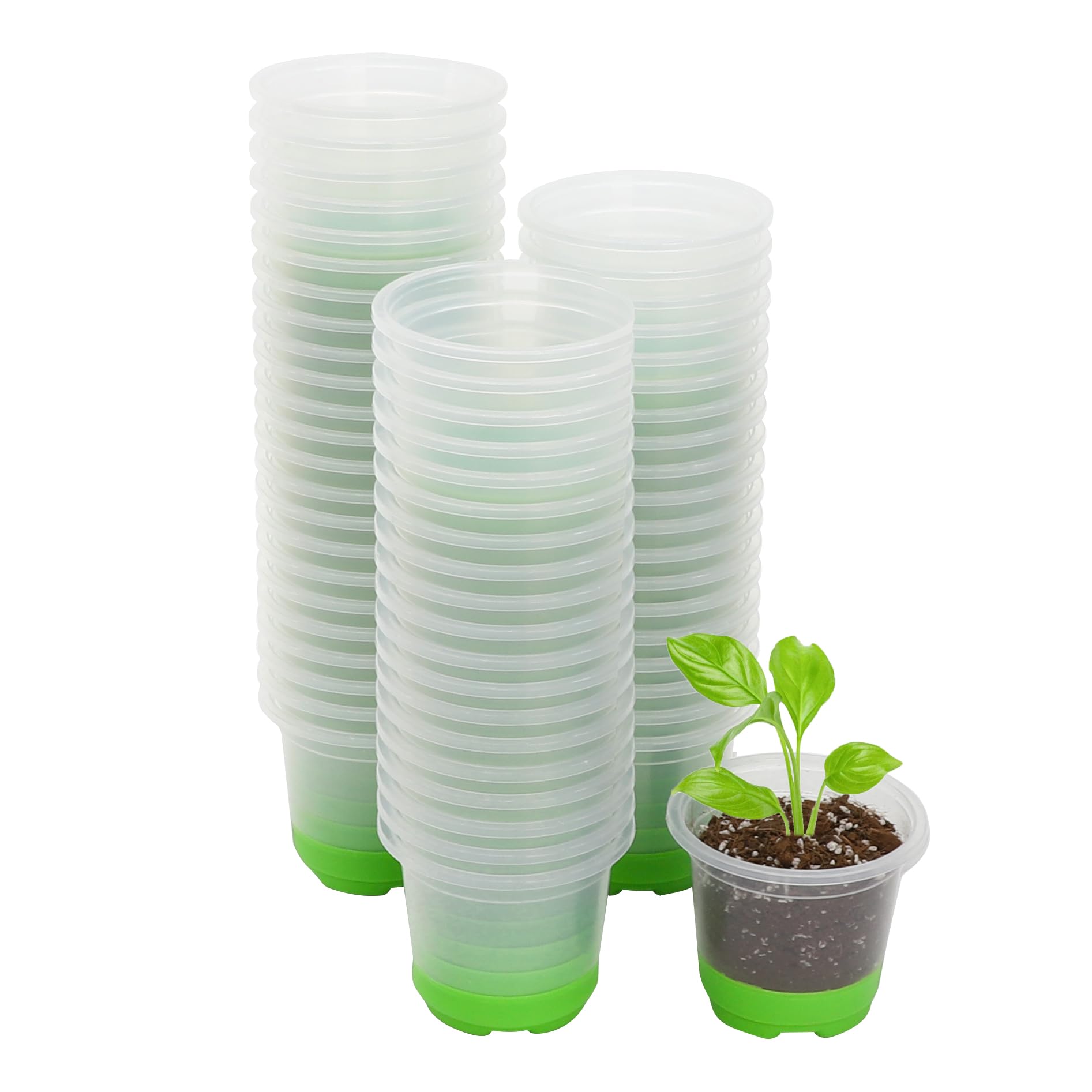 MIXC thickened clear nursery pot with silicone base enables easy transplant and healthy root care.