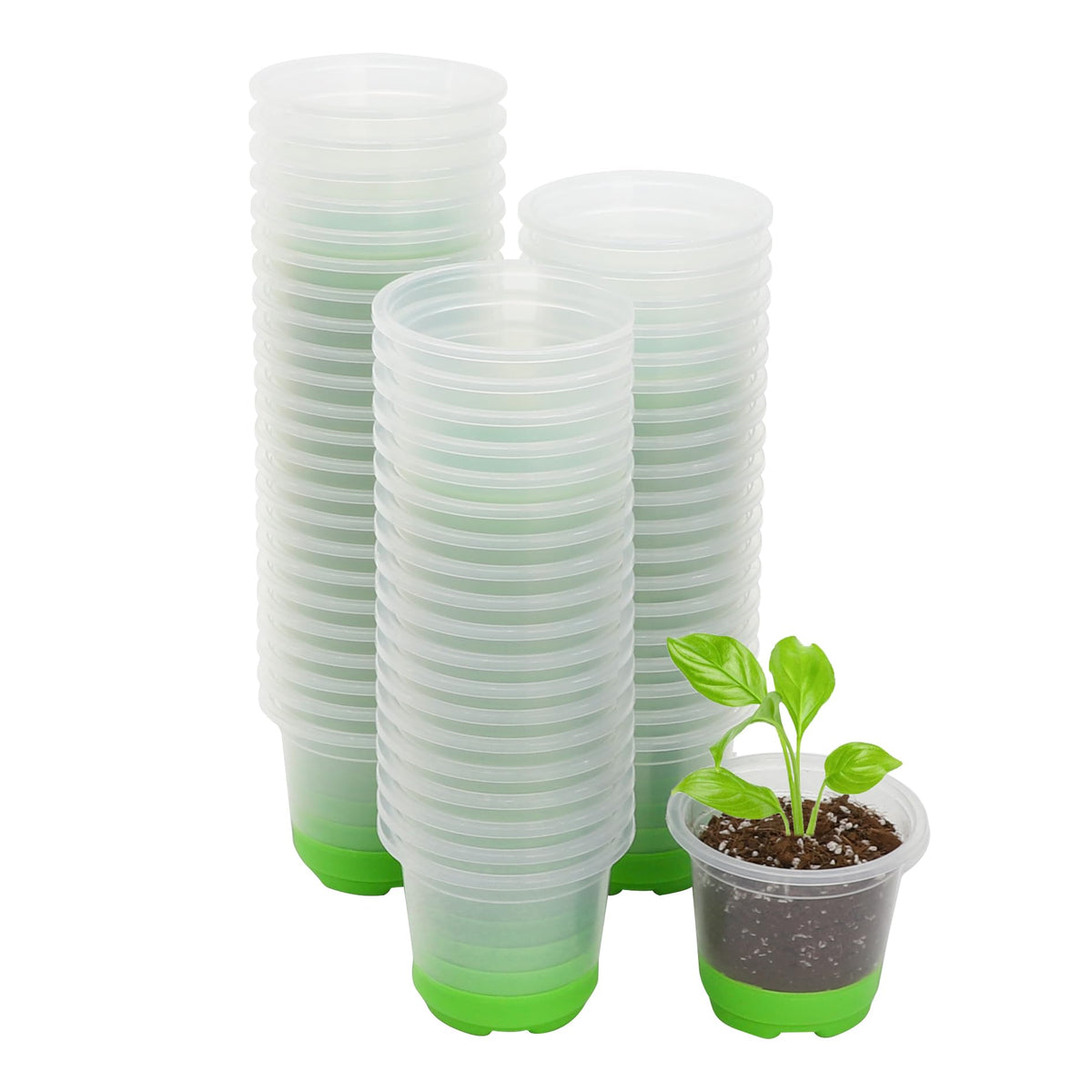MIXC thickened clear nursery pot with silicone base enables easy transplant and healthy root care.