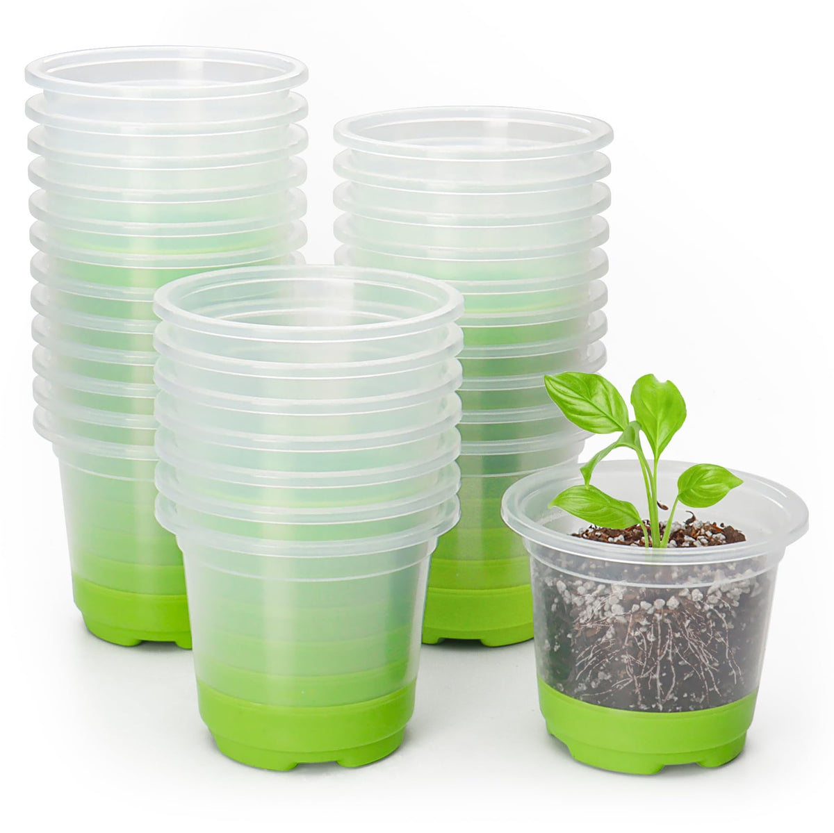 MIXC thickened clear nursery pot with silicone base enabling easy transplanting