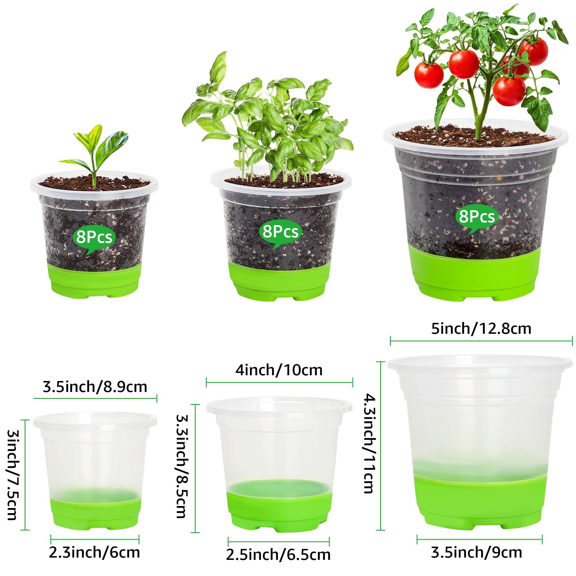 MIXC thickened clear nursery pot with silicone base demonstrates transplant ease