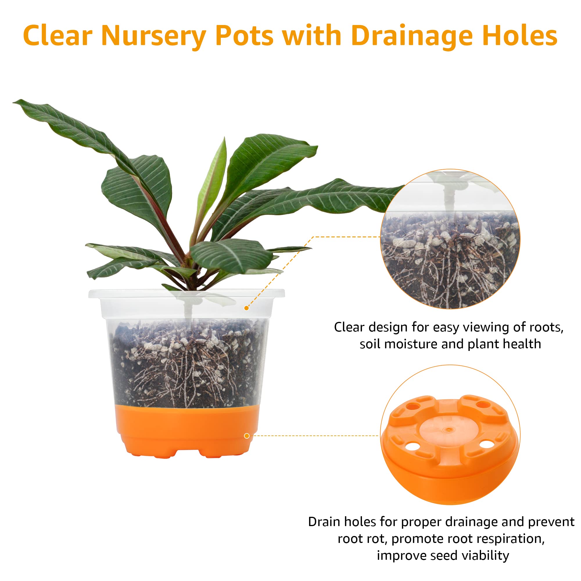 MIXC transparent pot ideal for seed starting and early root growth monitoring
