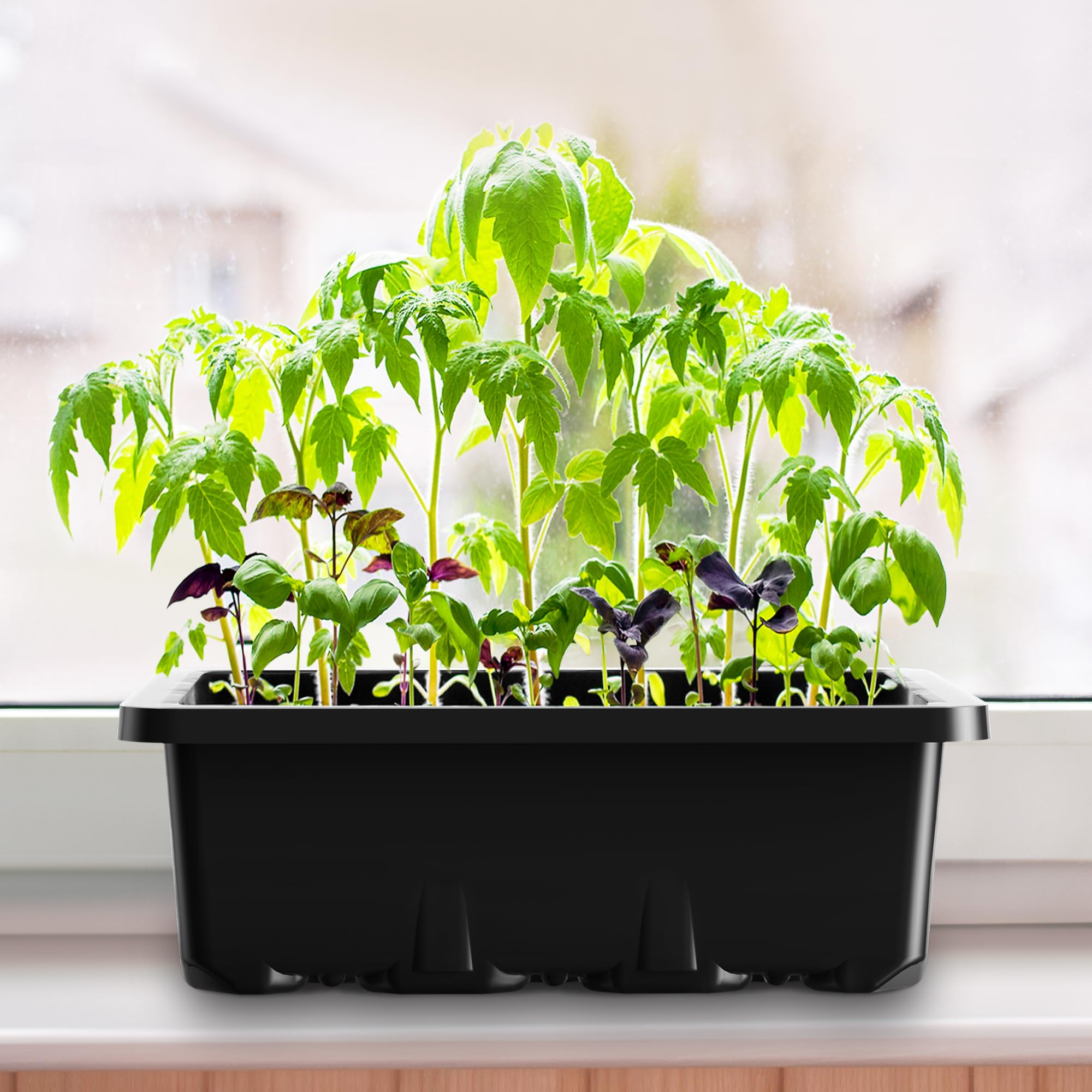 MIXC trays feature drainage holes to prevent overwatering and root rot