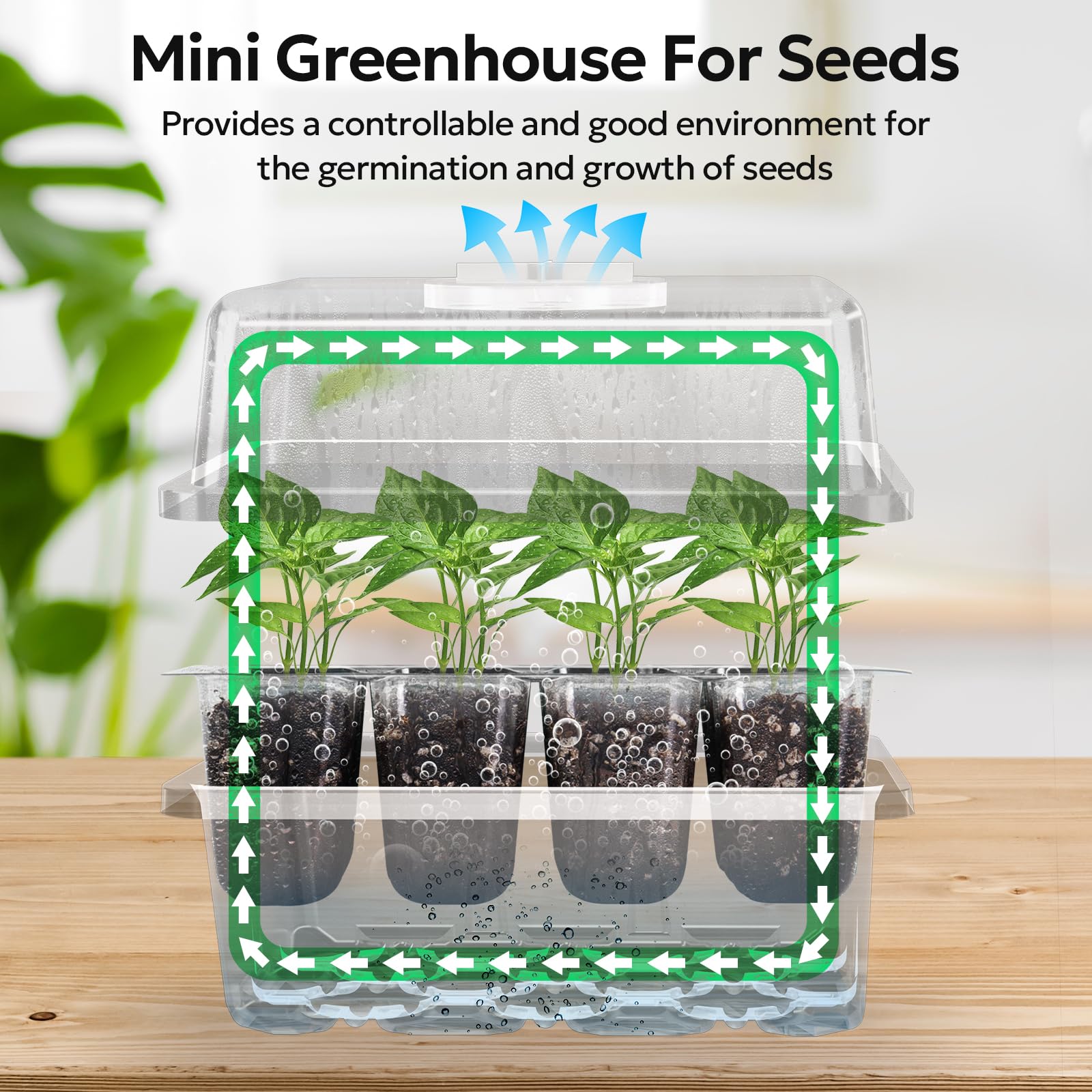 MIXC vented-lid close-up shows airflow control for healthy sprouts.