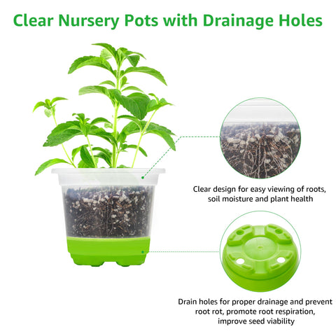 MIXC clear pots ideal for vegetable propagation and seedling care.