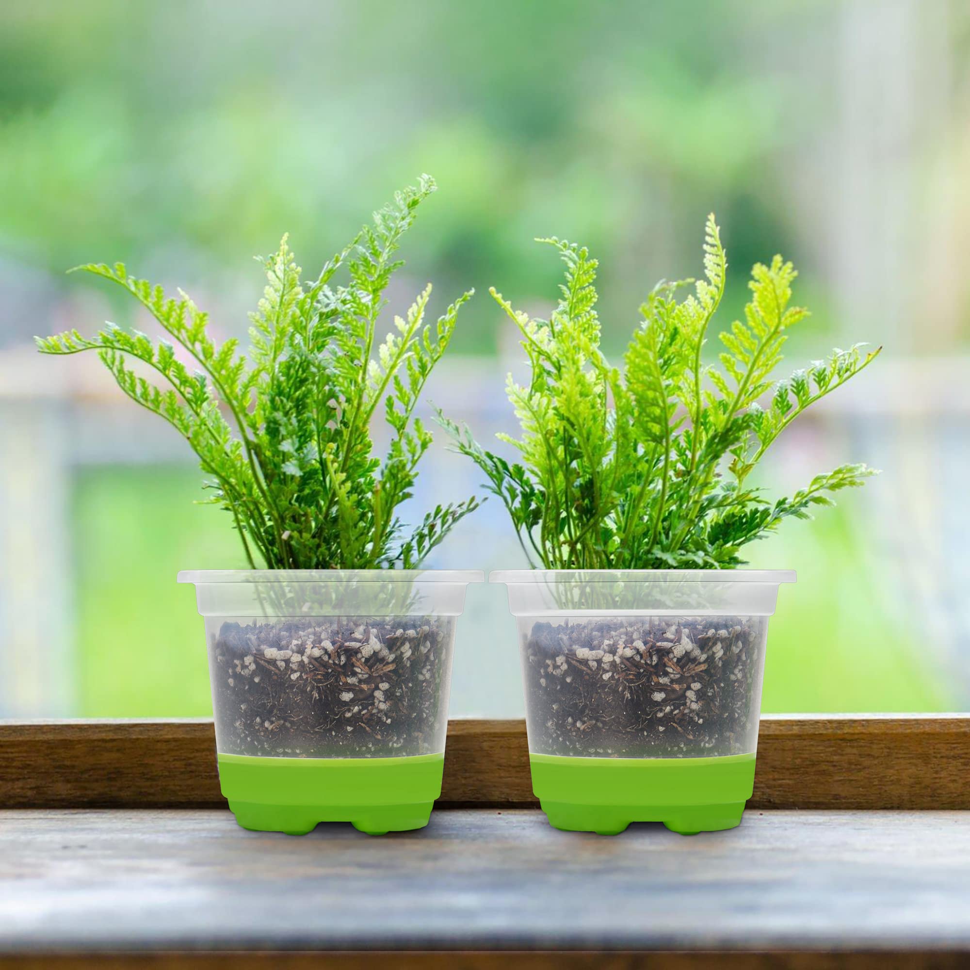 MIXC clear nursery pot suited for vegetable propagation and root cutting