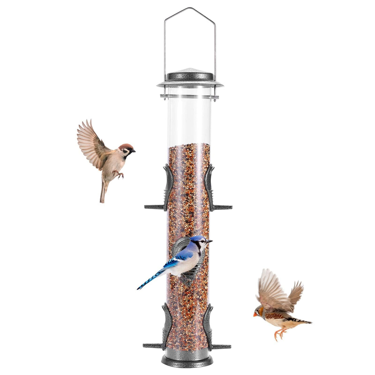 MIXXIDEA 1PK Metal Bird Feeder with six ports viewed outdoors for backyard birds