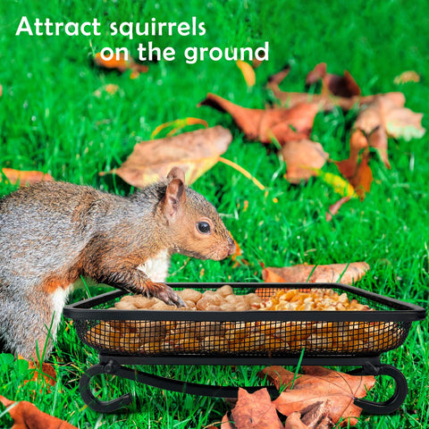 MIXXIDEA attracts wild birds and squirrels to your garden