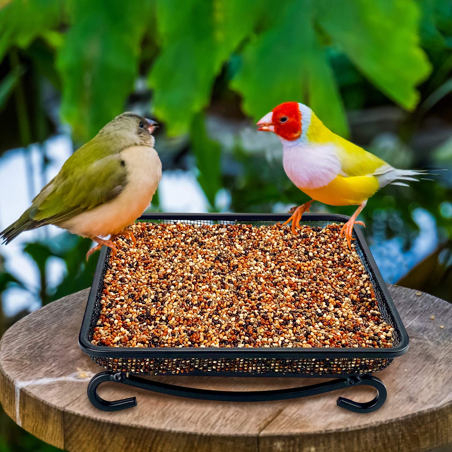 MIXXIDEA bird feeder tray mesh showing drainage to keep seeds dry