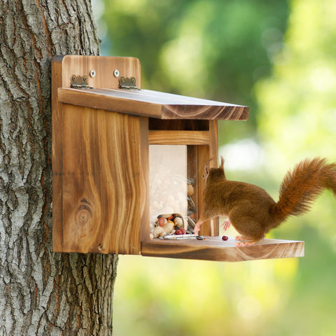 MIXXIDEA Deck Squirrel Feeder Box garden decor for wildlife