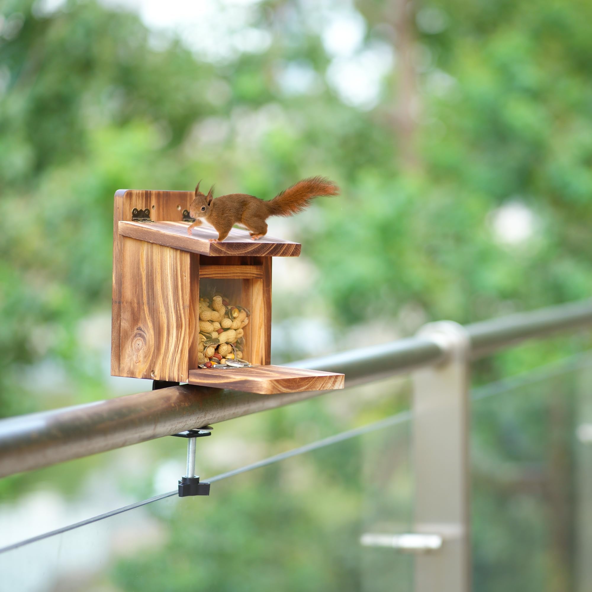 MIXXIDEA Deck Squirrel Feeder Box tree-mount setup for flexible placement