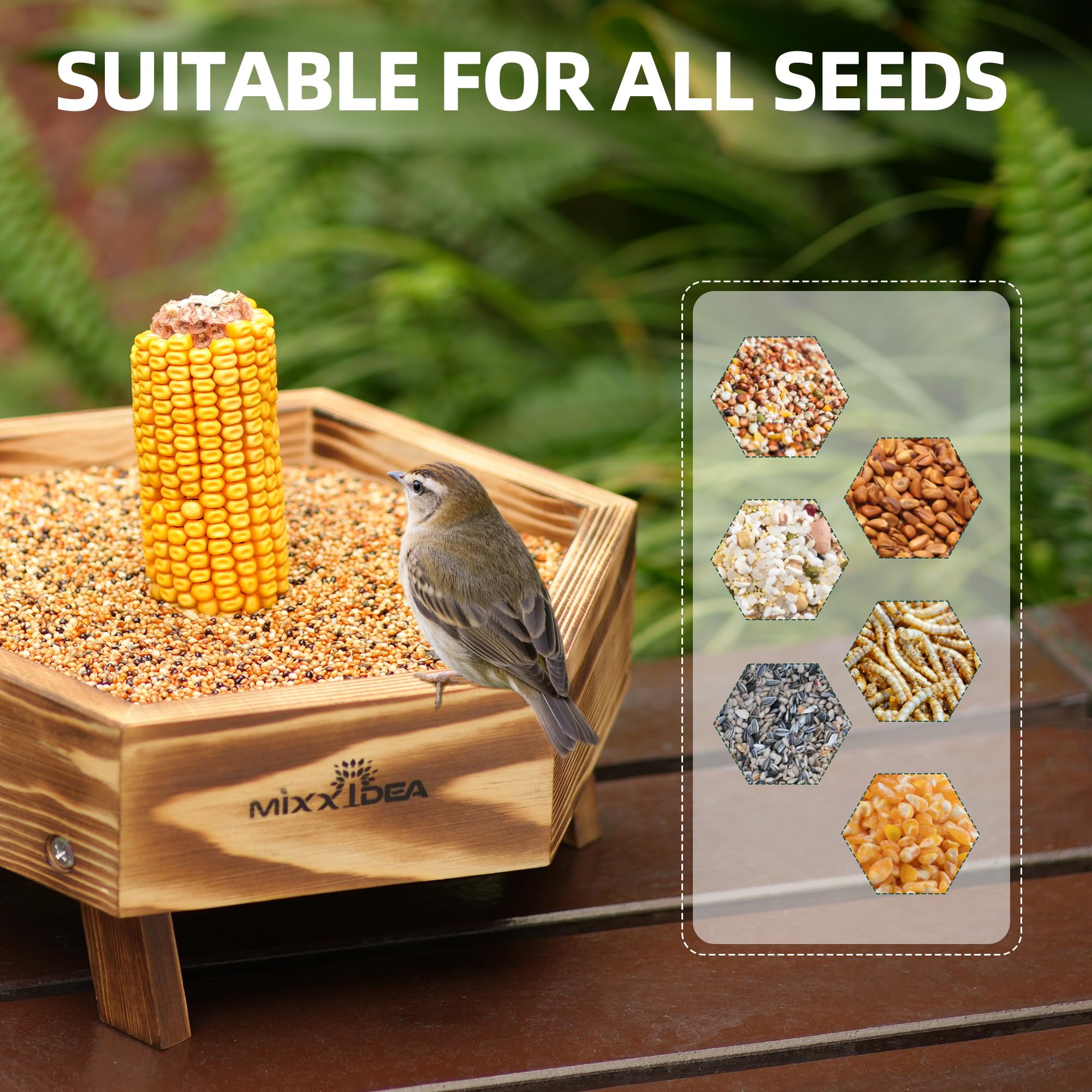 MIXXIDEA easy to install and clean feeder with simple maintenance.