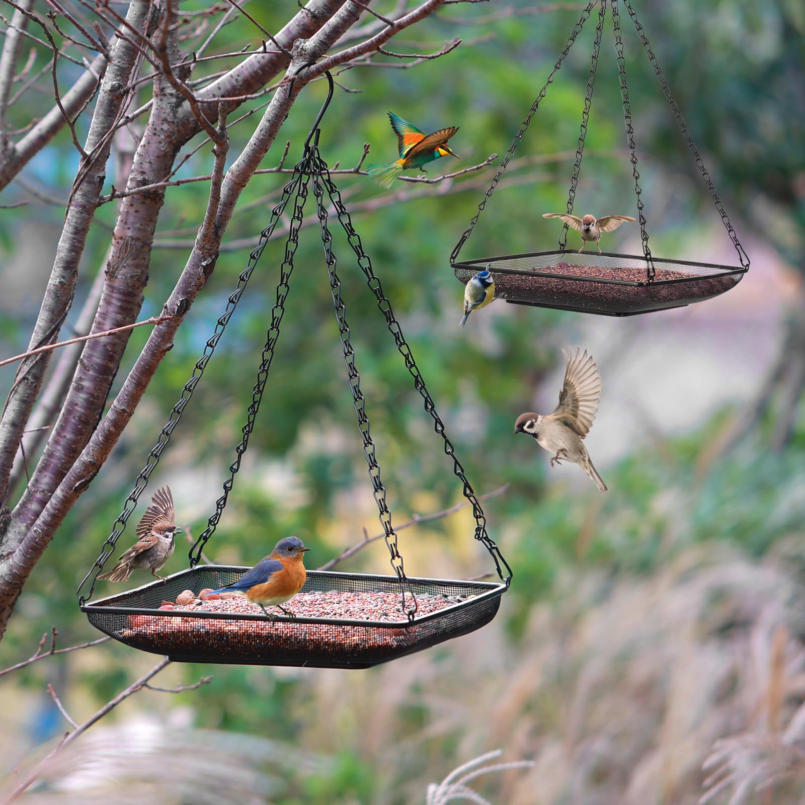 MIXXIDEA mesh seed tray drains water, keeping seeds fresh and ready for feathered visitors.
