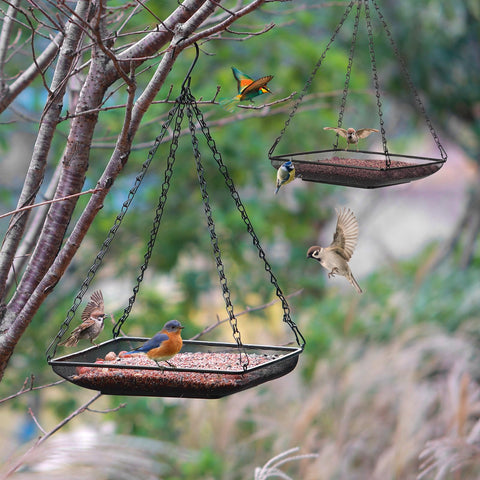 MIXXIDEA mesh seed tray drains water, keeping seeds fresh and ready for feathered visitors.
