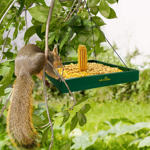 MIXXIDEA garden-friendly bird feeder tray doubles as yard decoration
