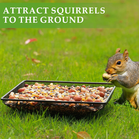 MIXXIDEA tray attracts squirrels and birds alike with ample feeding space