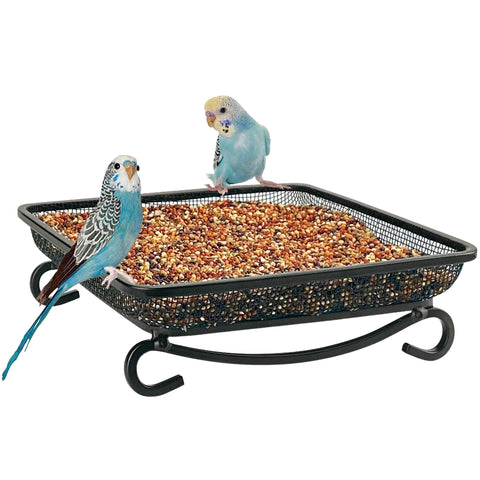 MIXXIDEA ground bird feeder tray in a sunny yard attracting birds and squirrels