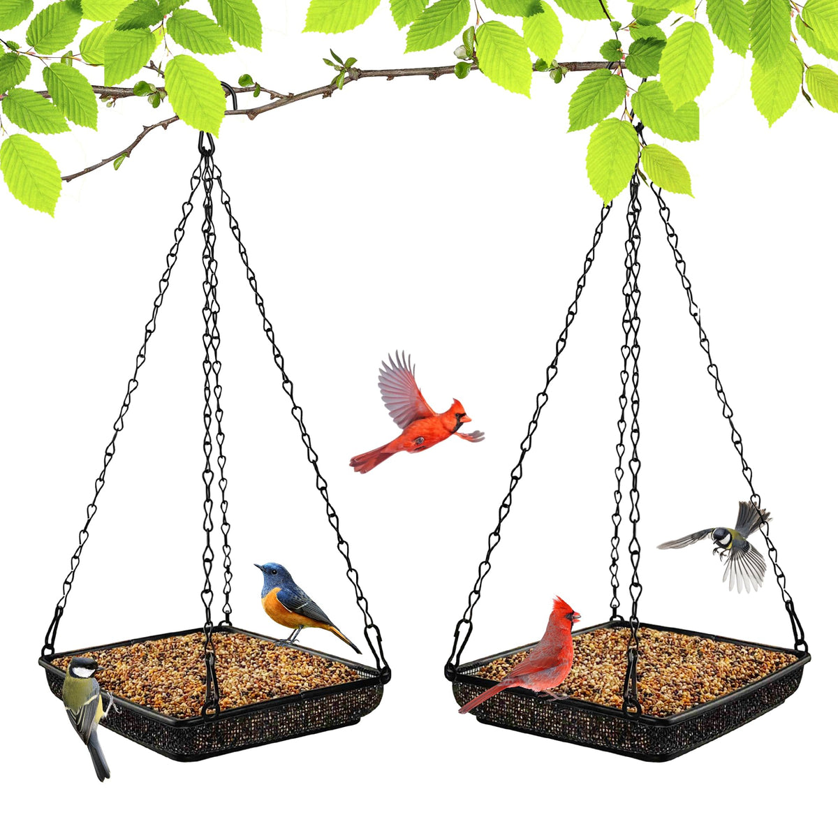 MIXXIDEA hanging-bird-feeder-tray mesh outdoors attracts garden birds.