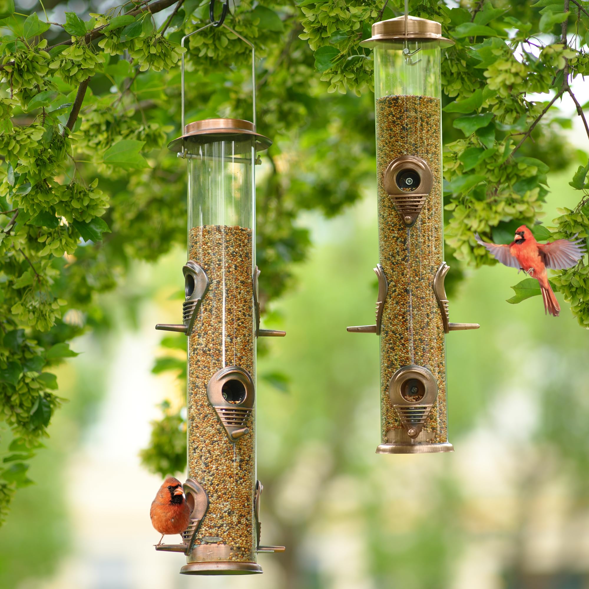 Birds gathering around MIXXIDEA feeder on a sunny day