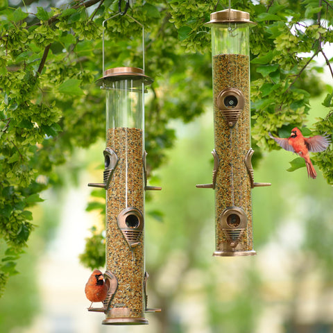 Birds gathering around MIXXIDEA feeder on a sunny day
