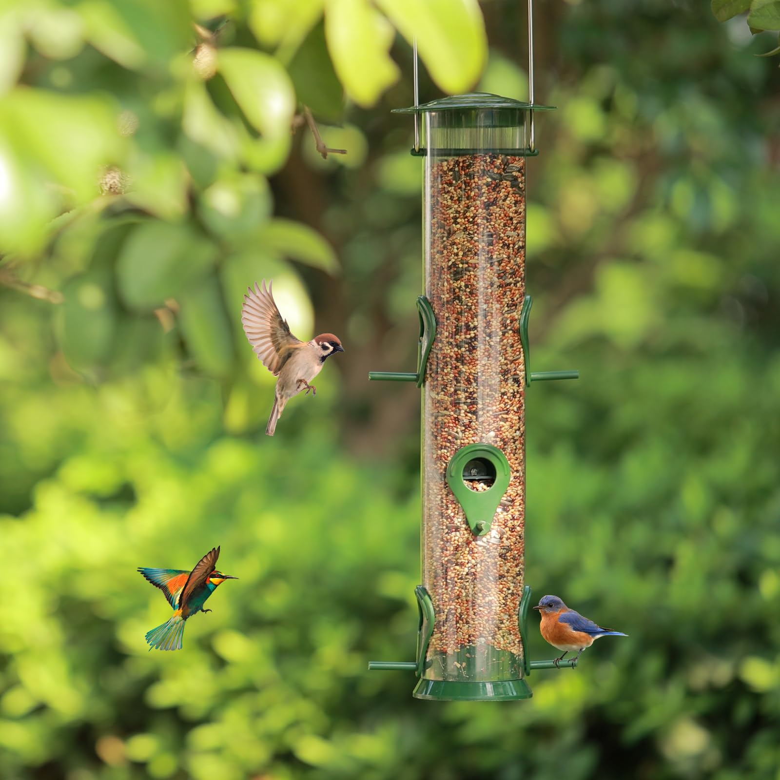 MIXXIDEA large-capacity tube feeder attracts multiple garden birds.