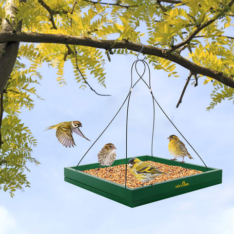 MIXXIDEA large feeding area supports both small and large birds
