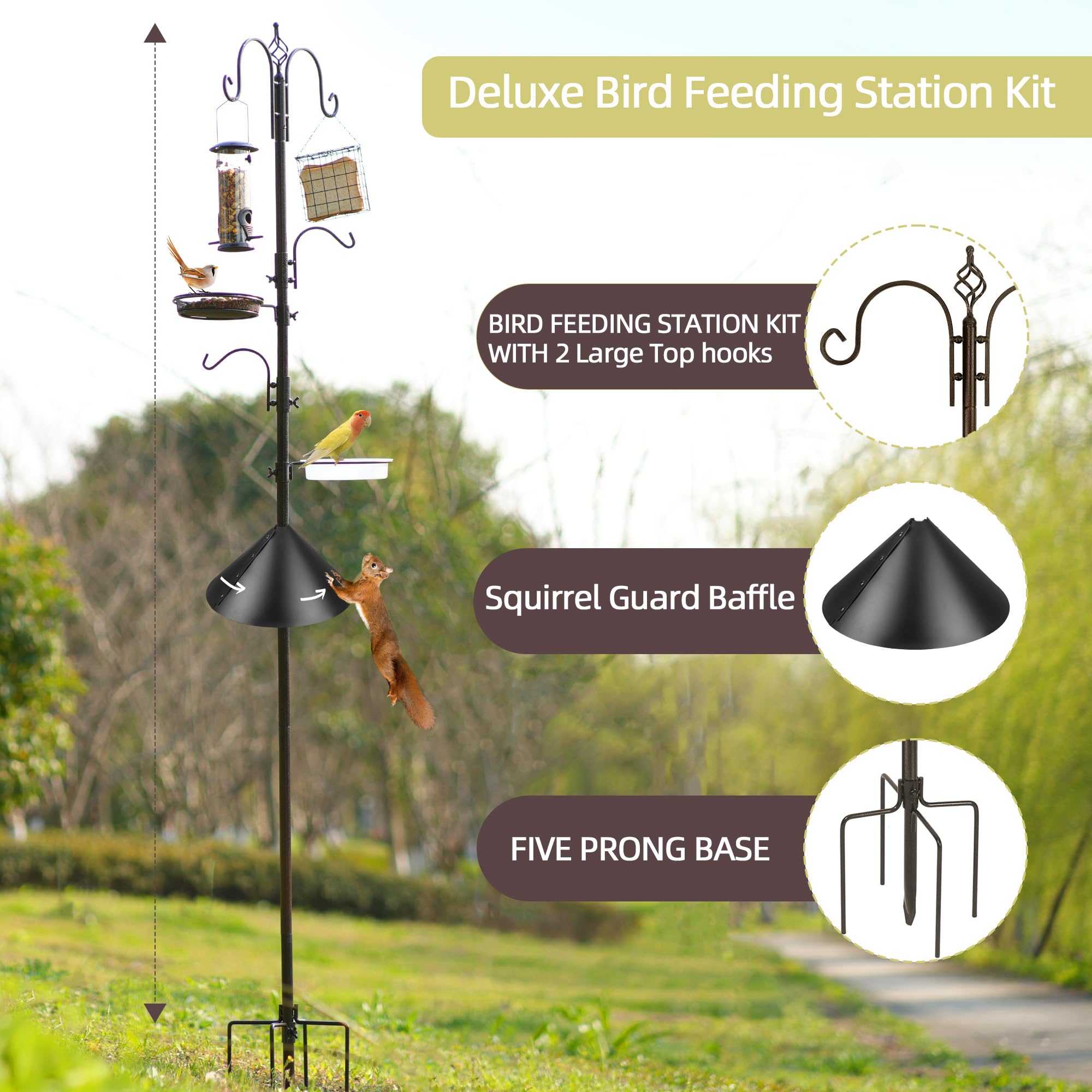 MIXXIDEA mesh tray and bird bath tray support multiple feeding options.