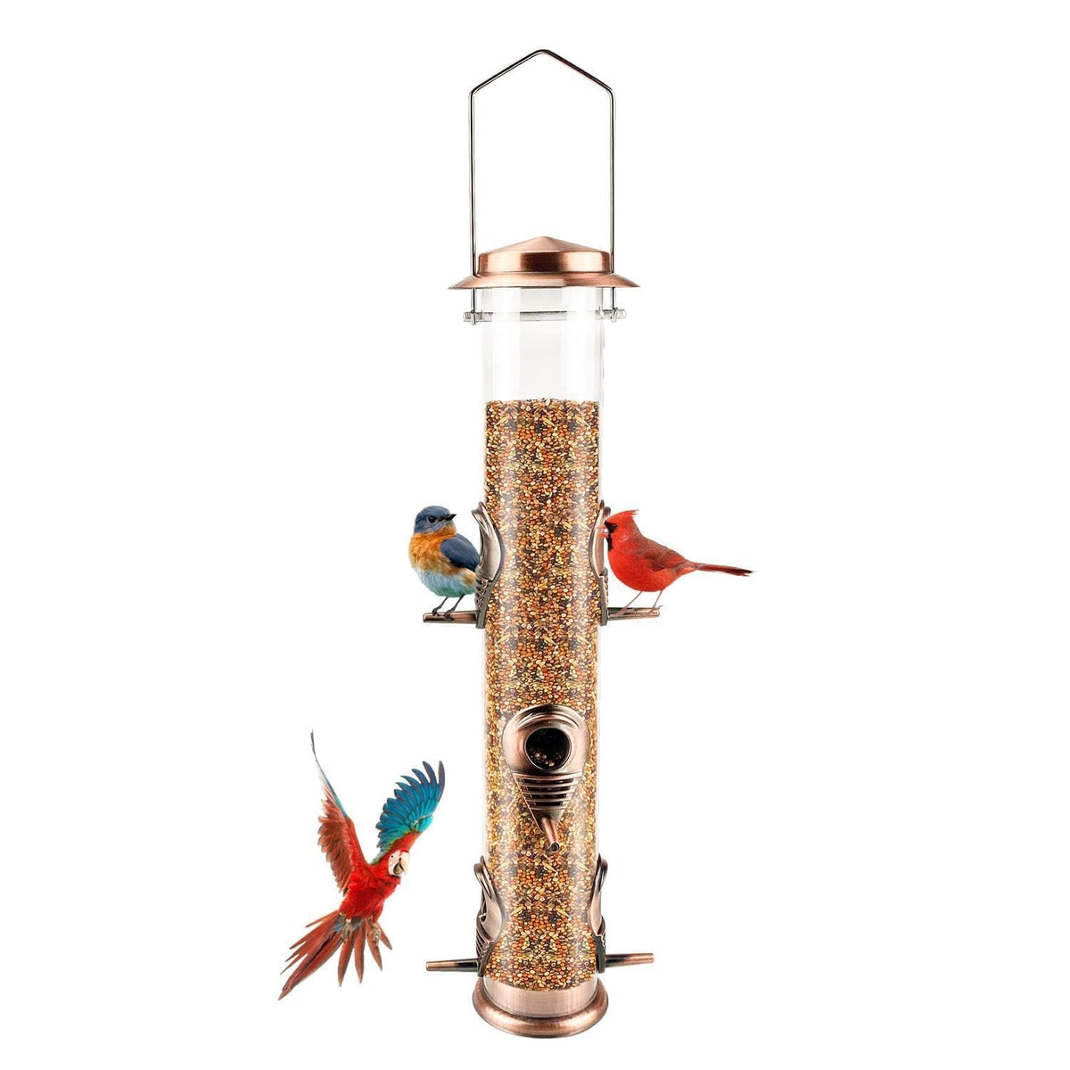 MIXXIDEA metal tube bird feeder with 6 ports attracts multiple birds outdoors.