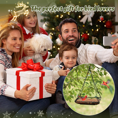 MIXXIDEA two-pack outdoor bird feeders provide value for multi-spot garden feeding.