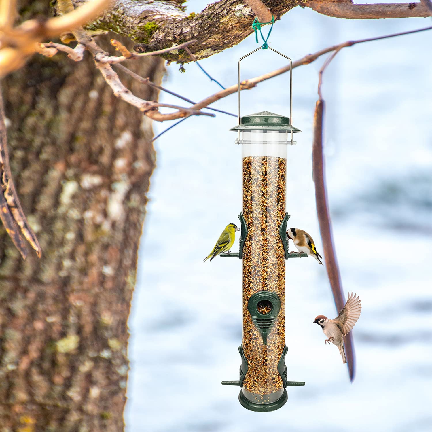 MIXXIDEA outdoor feeder adds life and color to your yard