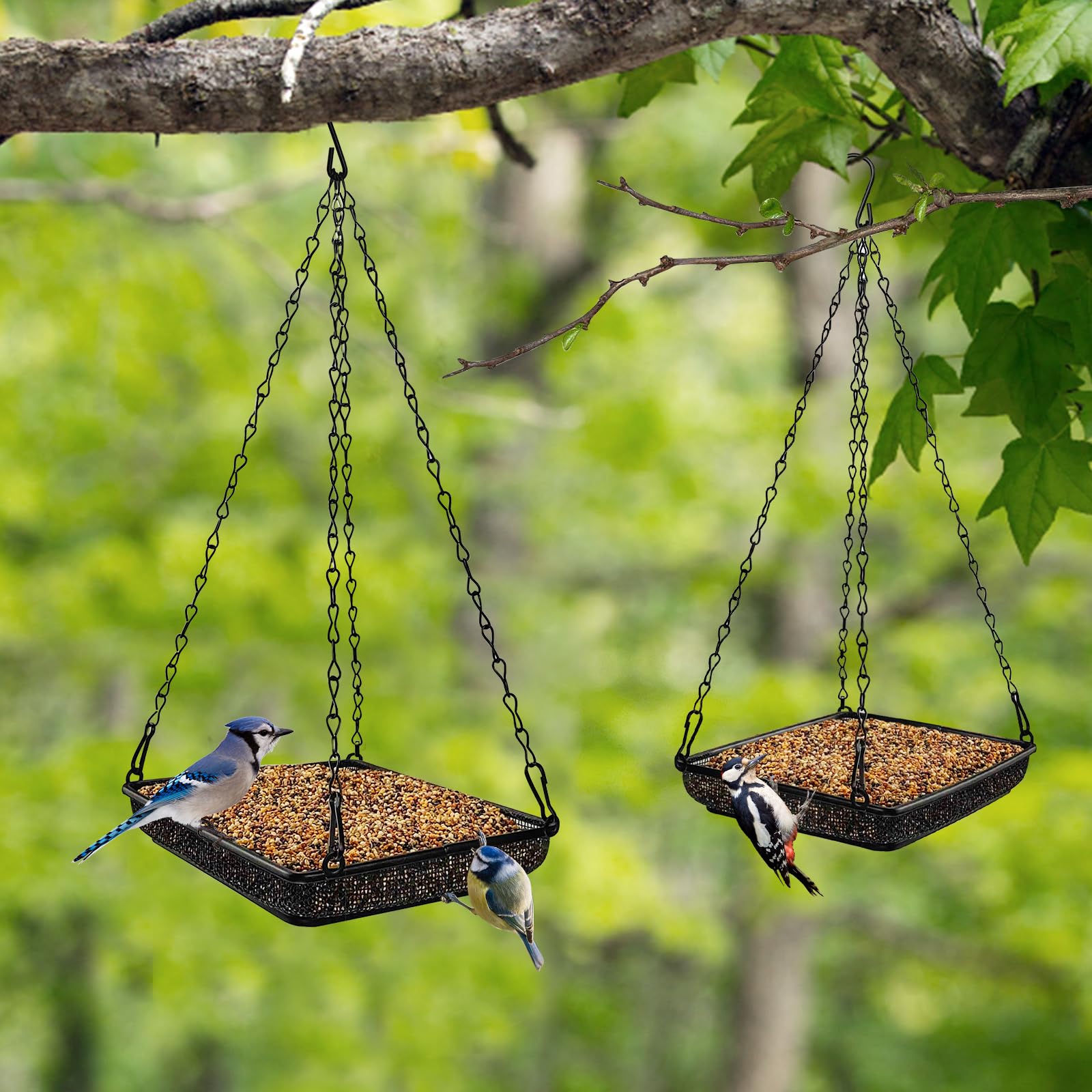 MIXXIDEA-two-pack-outdoor-bird-feeders offer versatile placement options.