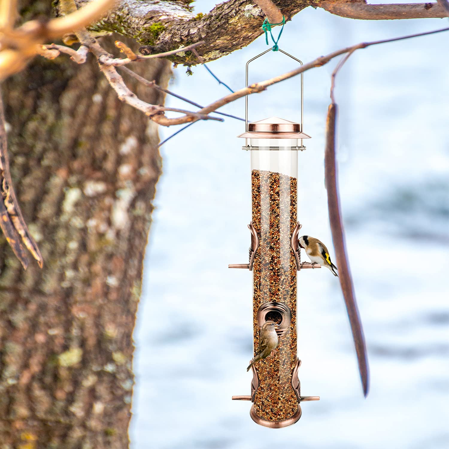Six feeding ports and perches invite multiple birds to dine.