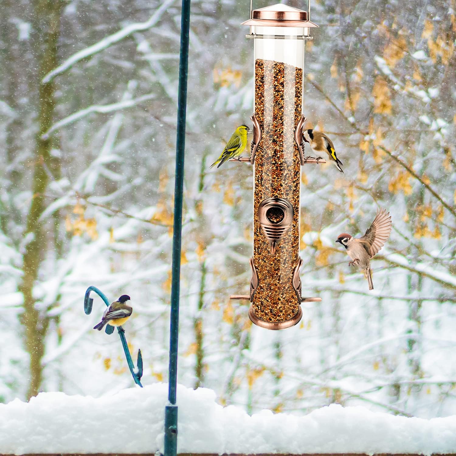 Squirrel-friendly aspects encourage a calmer yard with more birds.