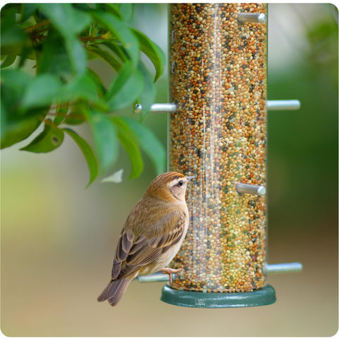 MIXXIDEA Thistle Seed Feeder in durable metal construction.