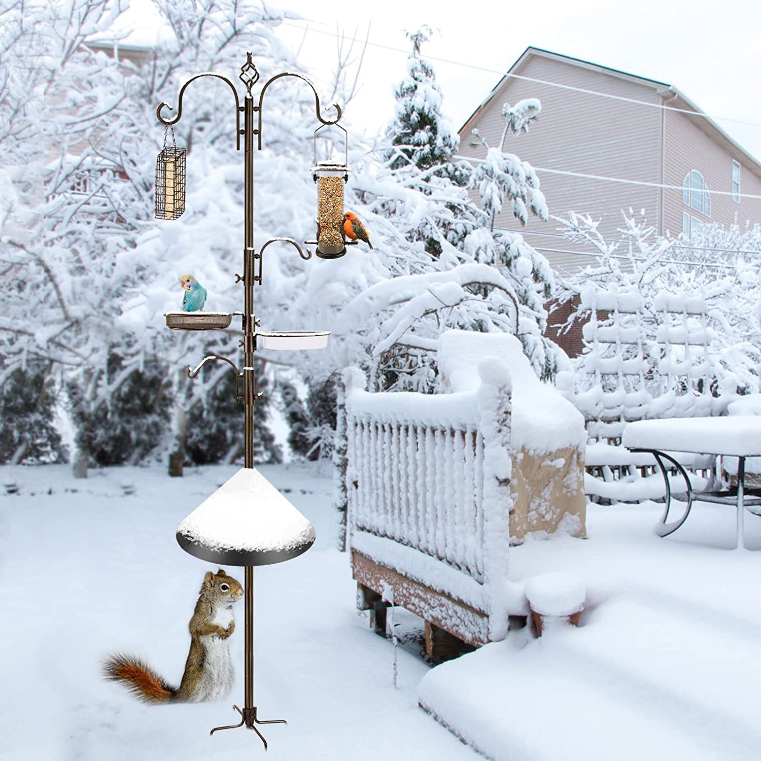 MIXXIDEA water dish basin keeps birds hydrated during visits